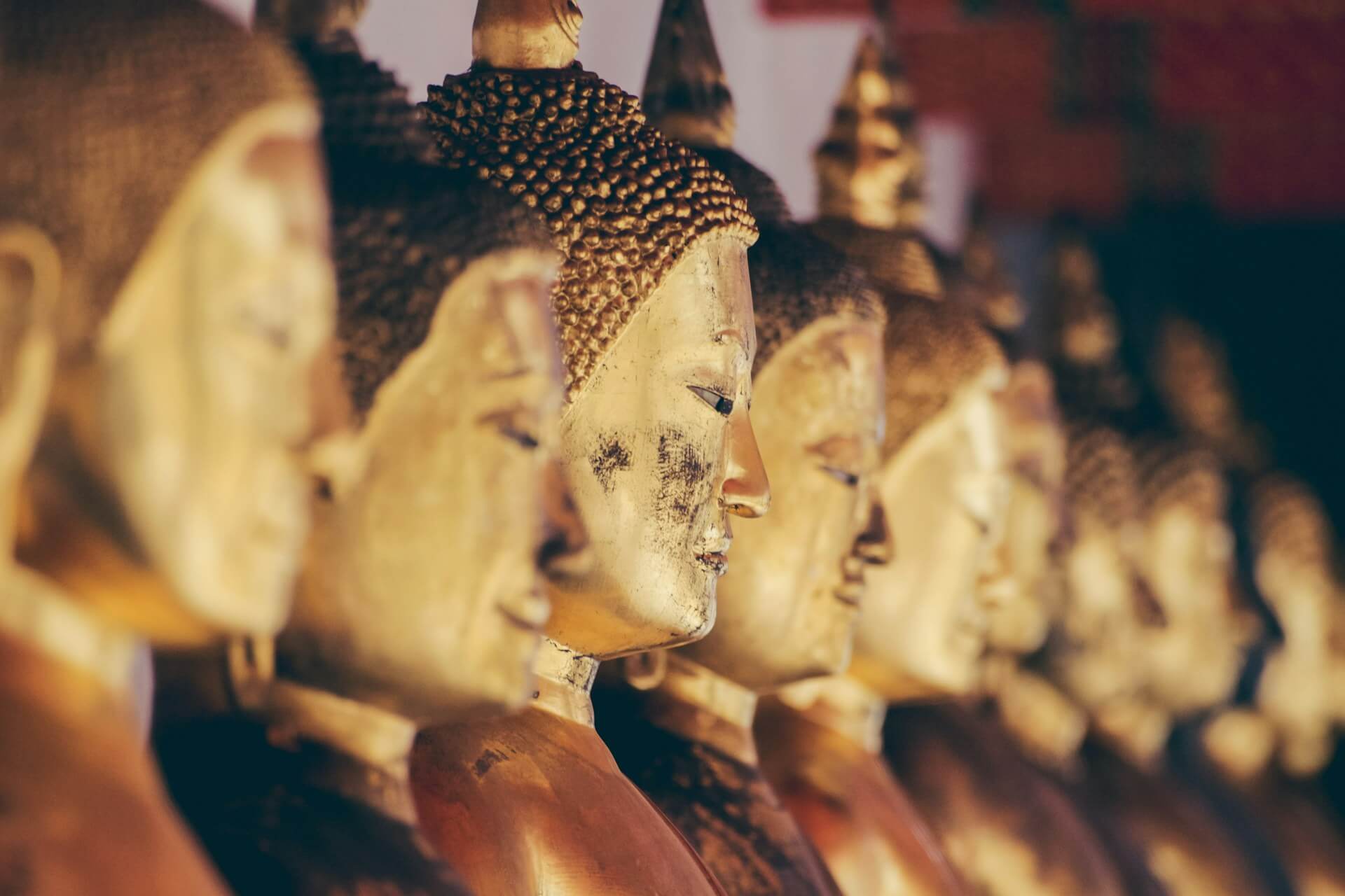 Buddha statues representing contemplative spiritual traditions